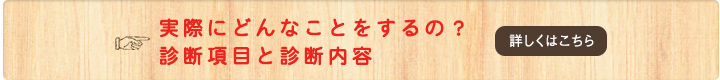 実際にどんなことをするの？診断項目と診断内容