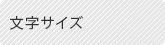 文字サイズ