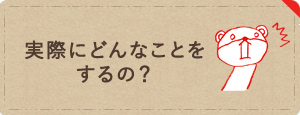 実際にどんなことをするの？