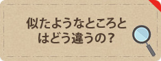 似たようなところとはどう違うの？